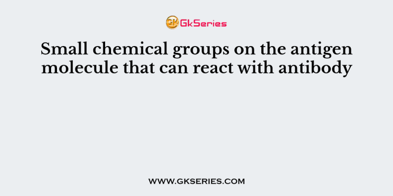 Small chemical groups on the antigen molecule that can react with antibody