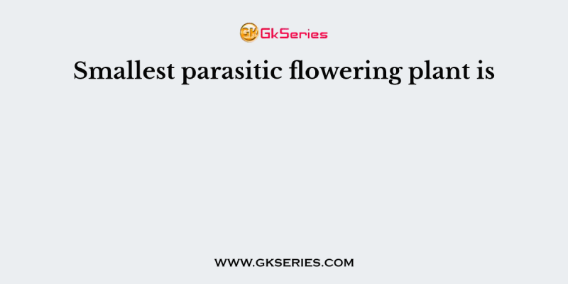 Smallest parasitic flowering plant is
