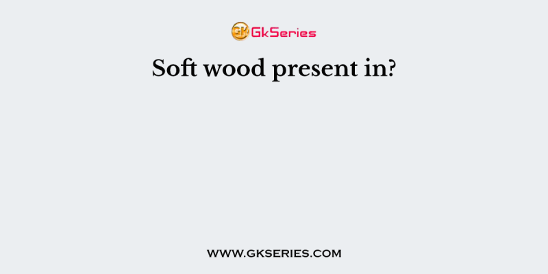 Soft wood present in?