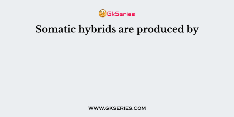 Somatic hybrids are produced by