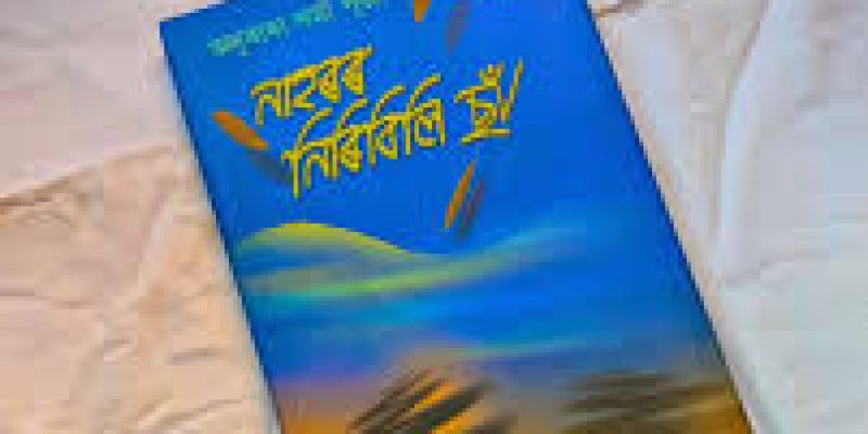 Some Notable Assamese Novels