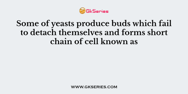 Some of yeasts produce buds which fail to detach themselves and forms short chain of cell known as
