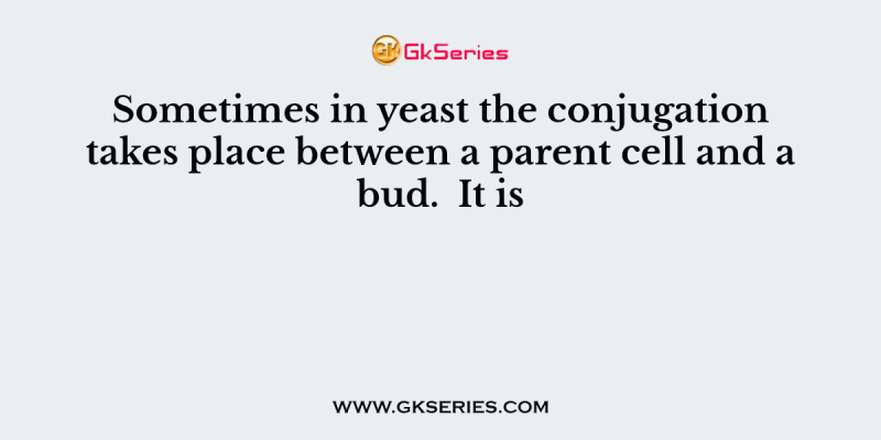 Sometimes in yeast the conjugation takes place between a parent cell and a bud.  It is