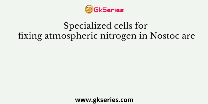 Specialized cells for fixing atmospheric nitrogen in Nostoc are