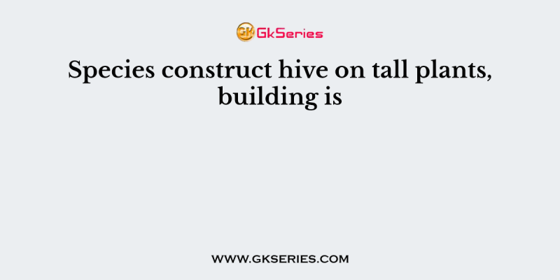 Species construct hive on tall plants, building is