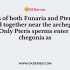 Sperms of both Funaria and Pteris were released together near the archegonia of Pteris.Only Pteris sperms enter the archegonia as