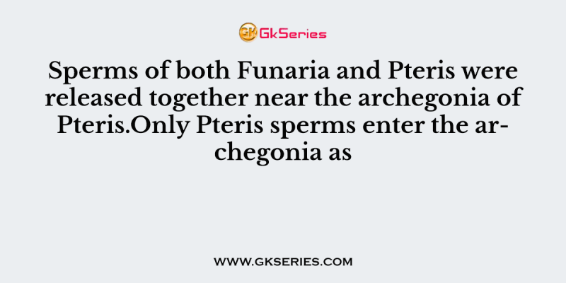 Sperms of both Funaria and Pteris were released together near the archegonia of Pteris.Only Pteris sperms enter the archegonia as