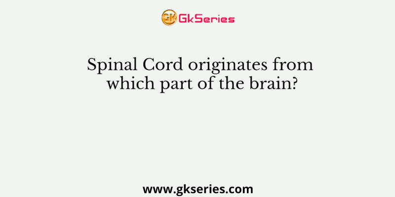 Spinal Cord originates from which part of the brain?