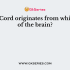 Pons, cerebellum and medulla are part of which brain?