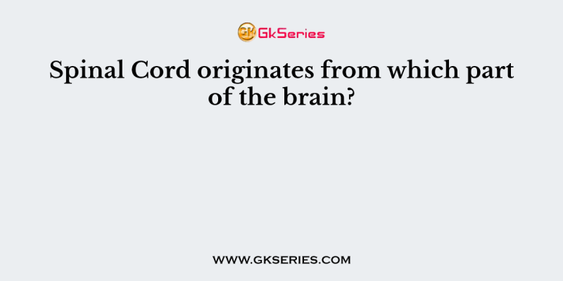 Spinal Cord originates from which part of the brain?