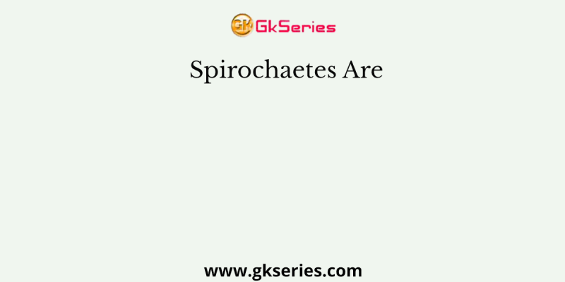 Spirochaetes Are