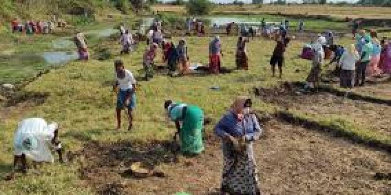 Split rural jobs scheme wages into separate categories for SCs, STs
