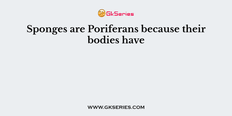 Sponges are Poriferans because their bodies have