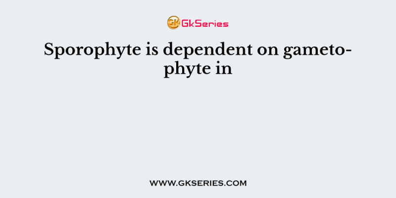 Sporophyte is dependent on gametophyte in