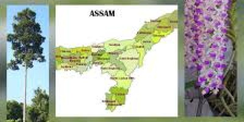 State Symbols of Assam