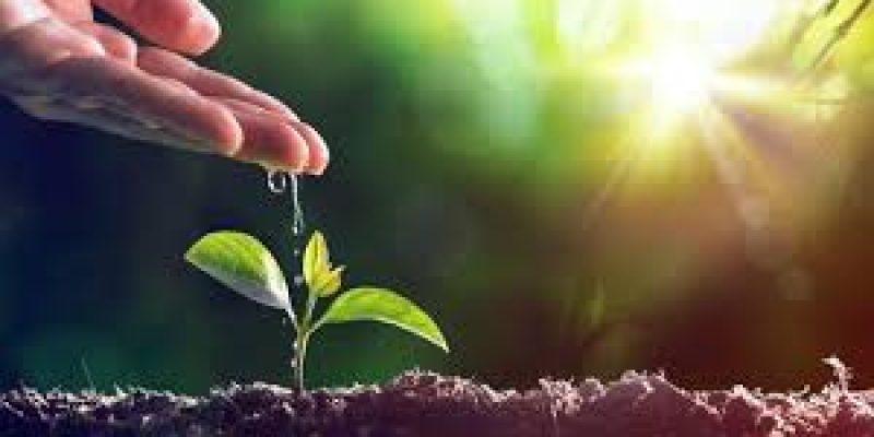 State of India’s Environment 2021, report