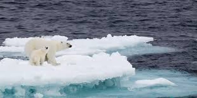 Status check on world climate