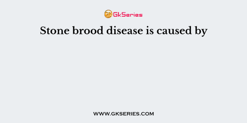 Stone brood disease is caused by