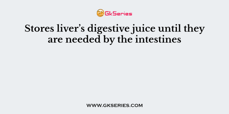 Stores liver’s digestive juice until they are needed by the intestines