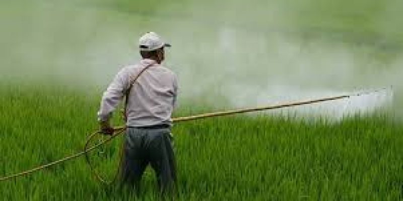Subsidy on DAP fertiliser hiked by 140%