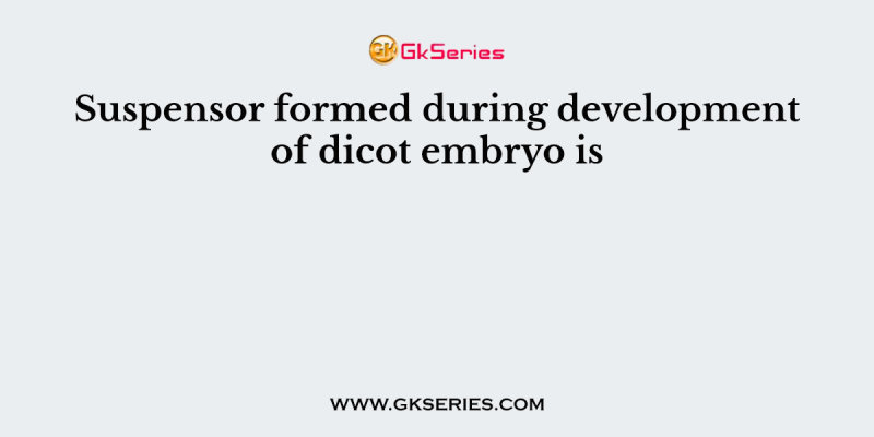 Suspensor formed during development of dicot embryo is