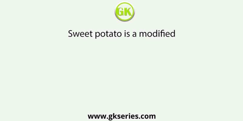 Sweet potato is a modified