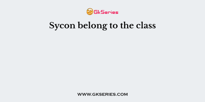 Sycon belong to the class