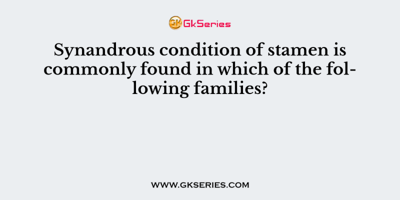 Synandrous condition of stamen is commonly found in which of the following families?