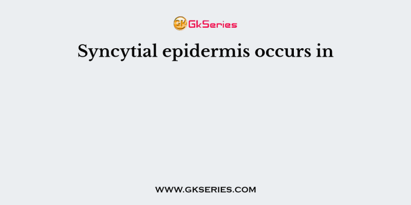 Syncytial epidermis occurs in