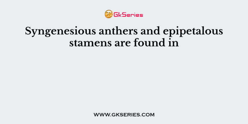 Syngenesious anthers and epipetalous stamens are found in