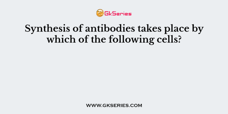 Synthesis of antibodies takes place by which of the following cells?