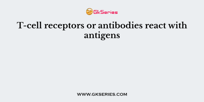 T-cell receptors or antibodies react with antigens