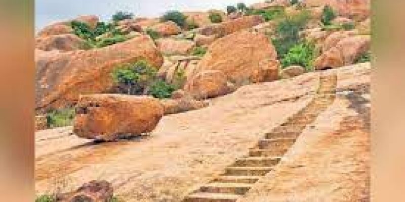 Tamil Nadu announced its first biodiversity heritage site