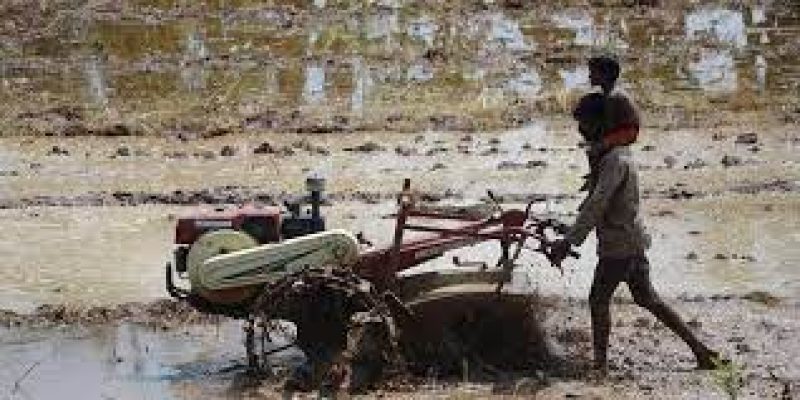 Tamil Nadu presented an exclusive budget for agriculture