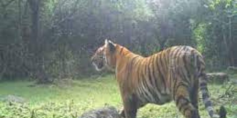Tamil Nadu’s 18th wildlife sanctuary to come up in Erode