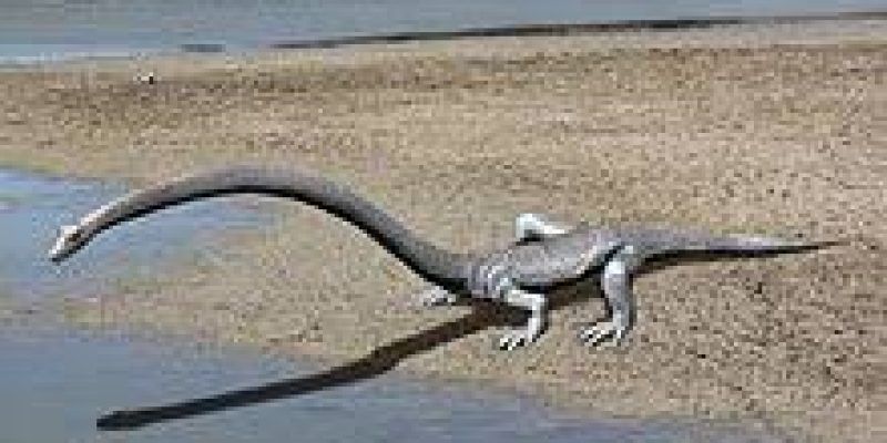 A new study unveiled an ancient reptile Tanystropheus