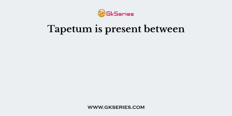 Tapetum is present between