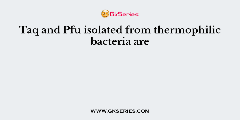 Taq and Pfu isolated from thermophilic bacteria are