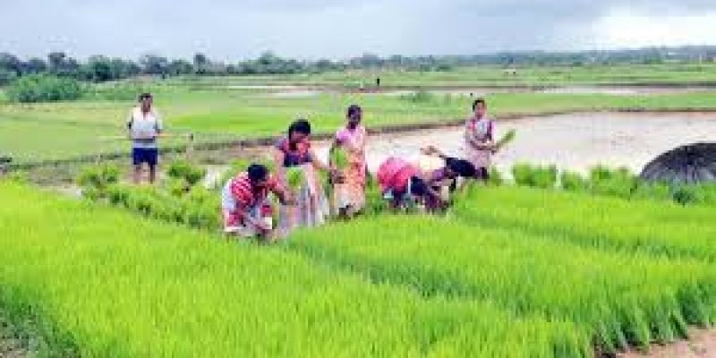 Telangana Plans Farm Loan Waiver Scheme