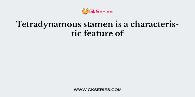 Tetradynamous stamen is a characteristic feature of