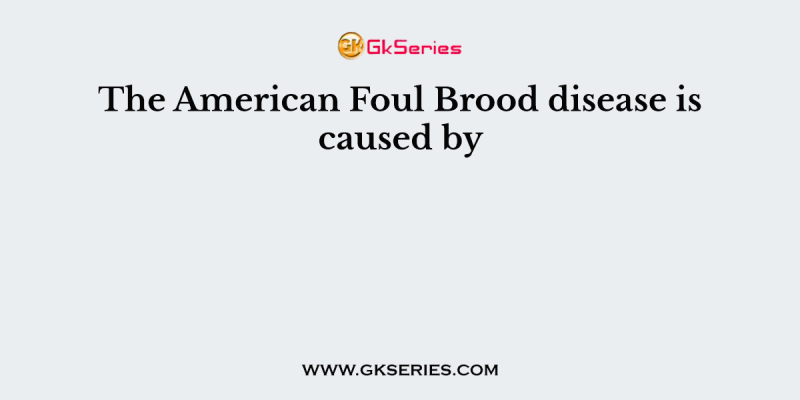 The American Foul Brood disease is caused by
