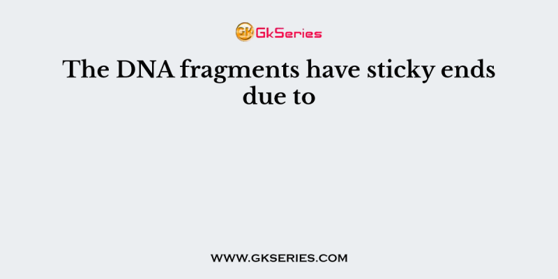 The DNA fragments have sticky ends due to