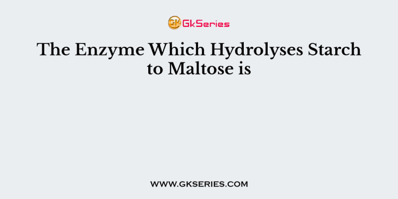 The Enzyme Which Hydrolyses Starch to Maltose is