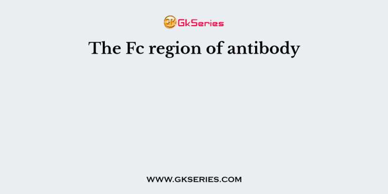 The Fc region of antibody
