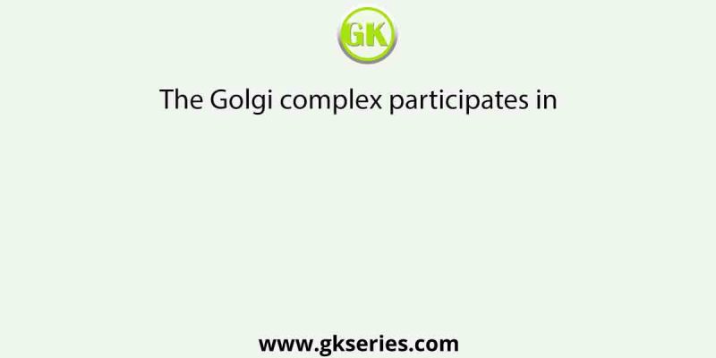The Golgi complex participates in