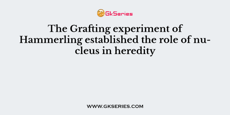 The Grafting experiment of Hammerling established the role of nucleus in heredity