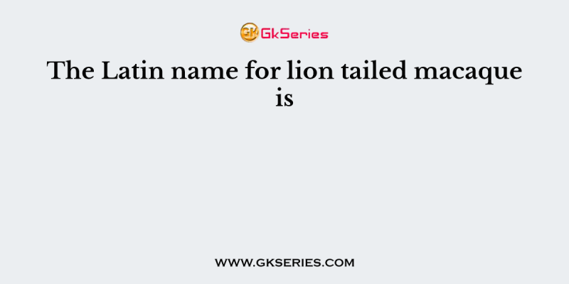 The Latin name for lion tailed macaque is