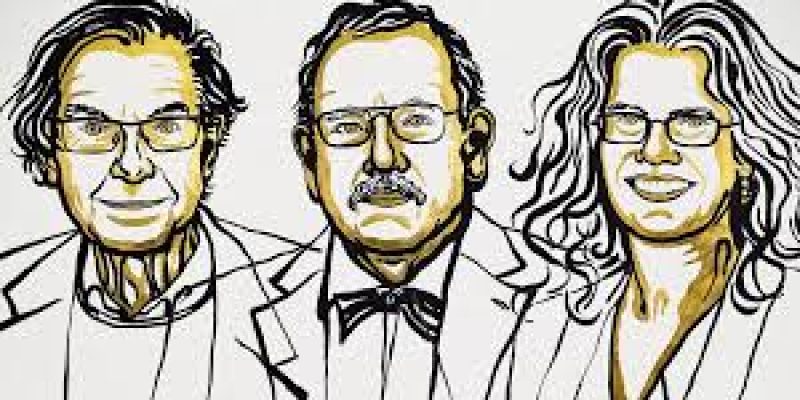 The Nobel Prize in Physics 2020