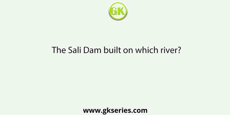 The Sali Dam built on which river?