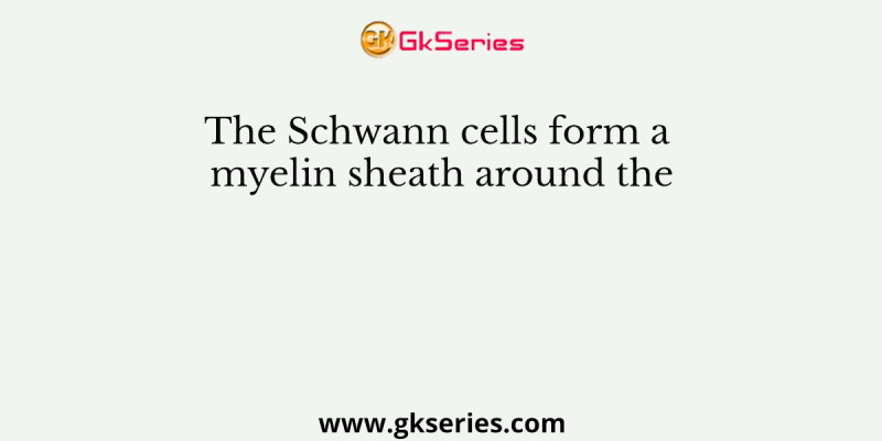 The Schwann cells form a myelin sheath around the